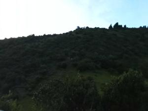 Glampin la esperanza