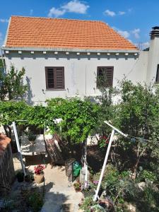 Apartments by the sea Prozurska Luka, Mljet - 4939