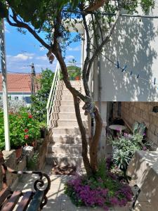 Apartments by the sea Prozurska Luka, Mljet - 4939 