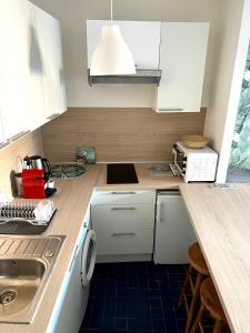 Palm Leaf Studio Nice