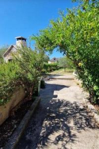 Apartments with parking spaces Bilice, Krka - 24275