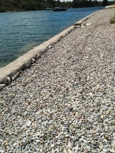 Apartments with parking spaces Bilice, Krka - 24275