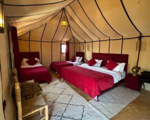Luxury Rose Camp