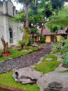 Bonsai Guesthouse Banyuwangi