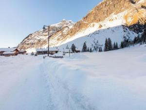 Alpine Chalet with Spa and pets