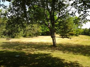 Maison 18e siècle à Azay-le-Rideau, jardin, wifi, proche nature - FR-1-381-20