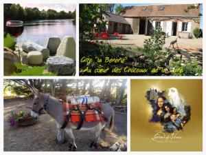 Maisons de vacances Charmant gite rural avec jardin, proche Amboise et Blois, ideal pour familles, randonneurs et amoureux de nature - FR-1-381-145 : photos des chambres