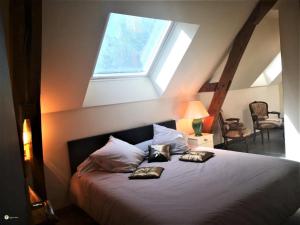 Maisons de vacances Charmante longere en Touraine avec jardin privatif, proche des chateaux et du zoo de Beauval - FR-1-381-505 : photos des chambres