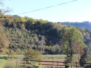Maisons de vacances Maison 2 ch. proche Sarlat, terrasse et nature, ideale pour familles - FR-1-616-16 : photos des chambres