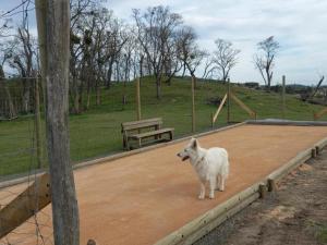 Maisons de vacances Gite charmant avec etang prive, cheminee, draps inclus, jardin clos a Montbrison - FR-1-496-158 : photos des chambres
