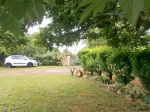 Maisons de vacances Gite charmant avec jardin et cheminee a 2 km de Cherveix-Cubas, proche sites prehistoriques et nautiques - FR-1-616-158 : photos des chambres