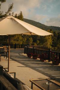 Al Bader Resort