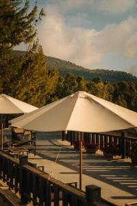 Al Bader Resort