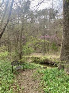 Sunnybrook Cabin, wooded, private with stream, near ATV trails