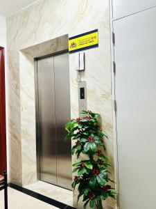 SWEETROOM- Trung tâm CẦU GIẤY