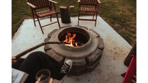 Little Blue Wren by Tiny Away