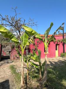 Maisonnette de loire