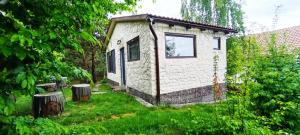 Forest Hide Tiny House