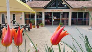 Campings Camping Les Sources : photos des chambres