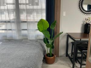Comma House Otsuka 202