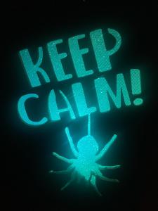 Habitaciones VIRYIN 9