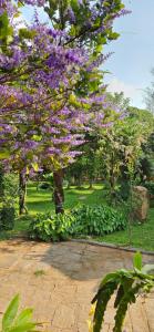 Pannadikadu Homestay