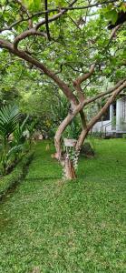 Pannadikadu Homestay