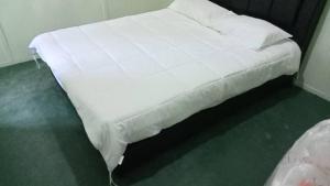 Junior Suite Nature of Penang Guesthouse
