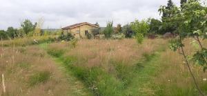Maisons de vacances chalet bois pleine campagne a Pontigny : photos des chambres