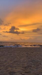 Shoreline Marari Beach Villa At Golden Beach Mararikulam