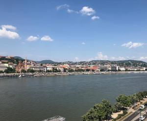 Danube & BudaCastle View