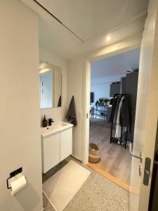 Central nyrenoveret lejlighed i Aalborg