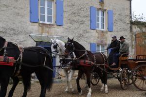 Maisons de vacances Gite in equestrian property : photos des chambres