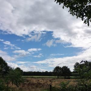 Natuurhuisje Hoogeloon PMV