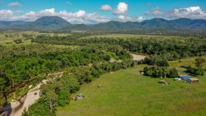 Echidna by Tiny Away