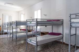 Mixed Dormitory Room