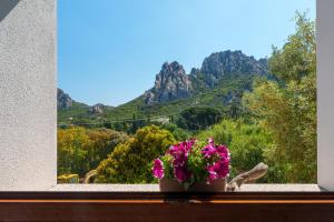 Appartamento Mountain View img1