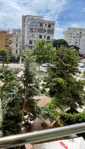 Apartament Synergy Viktoria