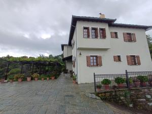 Olga Studios