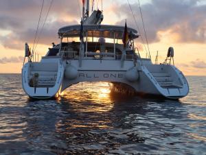 ALL ONE Catamaran