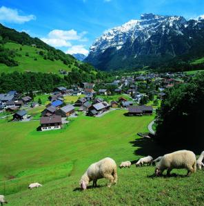 Appartement Moosmann