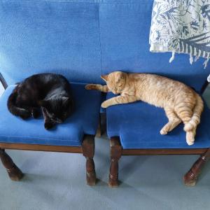 Bed and Breakfast Op de Kleijne Hei