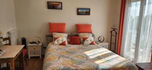 LES PINGOUINS DE LA MARNE