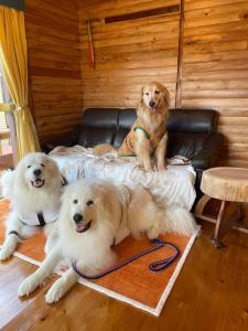 forest sun ワンちゃんと泊まれる山小屋民泊