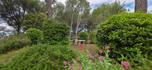 Maisons de vacances Les dentelles Evasion Provencale Villa avec Piscine et jardin : photos des chambres
