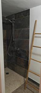 Appartements Studio vacances : photos des chambres