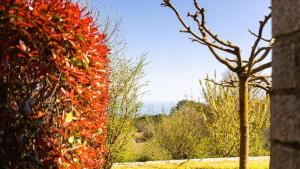 Domaine de Gialla Bergerie Carta, 6 pers, montagne, vue mer
