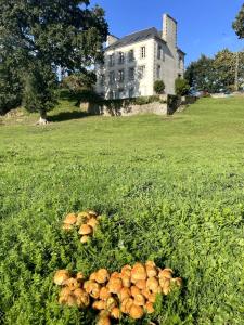 Appartements Pontrieux - Moutons Ouessant - Riviere Trieux : photos des chambres