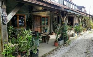Appartements Plattelandservaring in alle rust en ruimte : photos des chambres