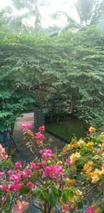 2 AC Room in KUTHUPARAMBA